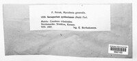 Image Associated With the Occurence